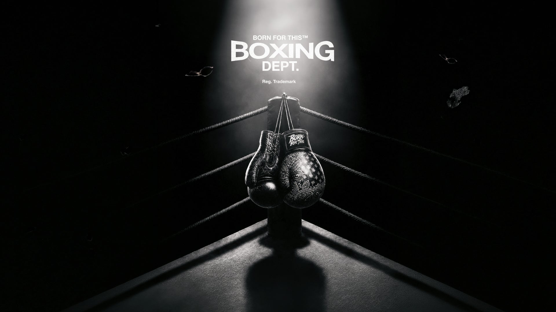 Born For This™ Boxing Dept. — 'Paisley Boxing'
