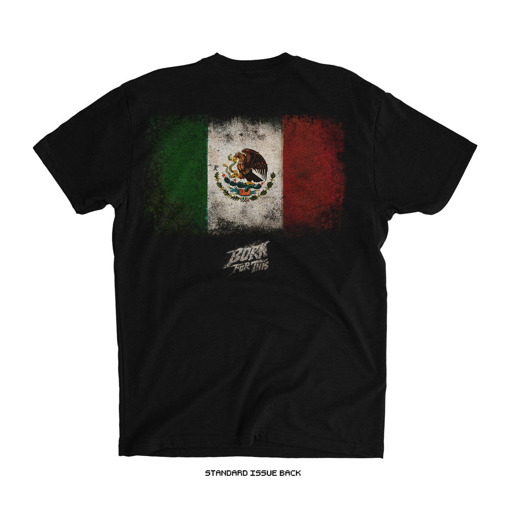 Bandera Mexico T-Shirt (Black) NOCHE DROP